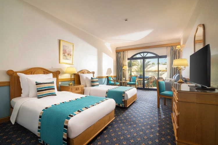 Deluxe Twin room with garden view