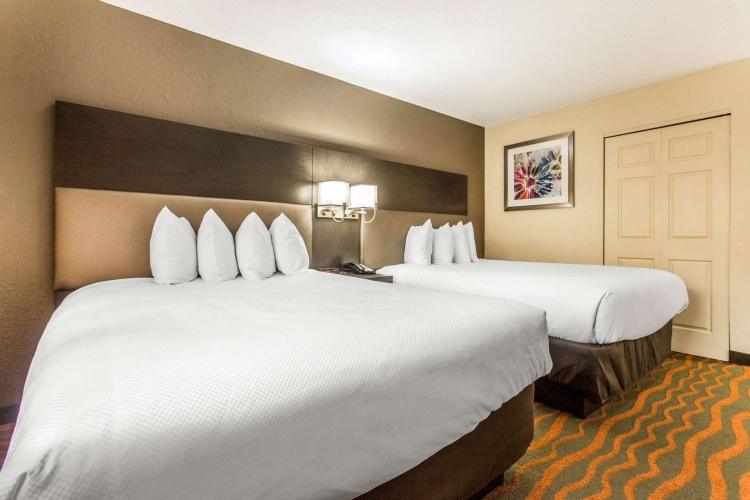 Quadruple Suite