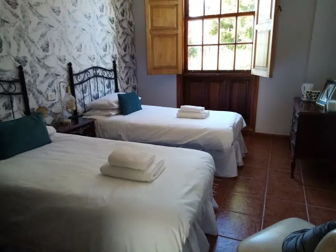 Superior Twin room with garden view