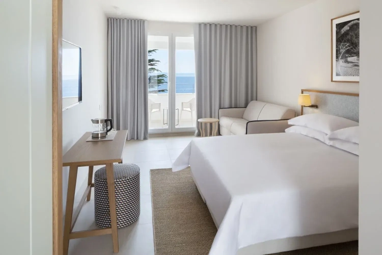 Superior Double room with balcony and with sea view