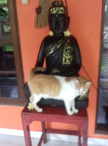 Shalana Homestay- formerly Teka Teki House