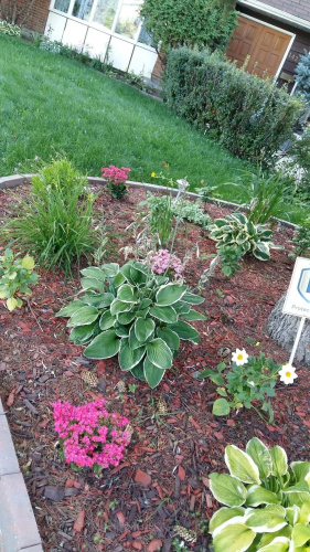 Wild Rose Bed & Breakfast