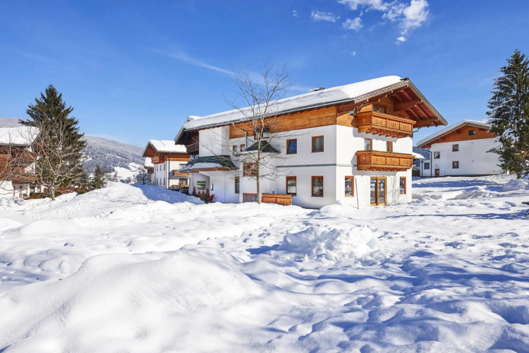Apartment in Flachau With a Reception