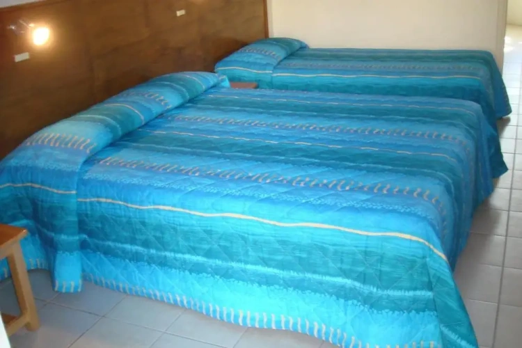 Standard Quadruple Apartment