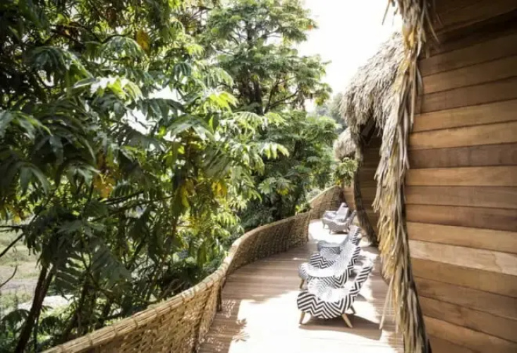 Wilderness Bisate