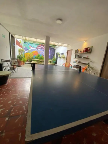 Zamia Hostel