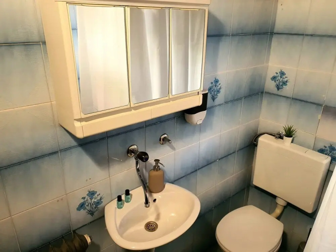 House Zdravko