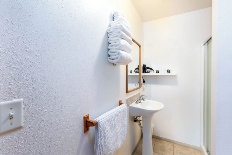 1 Bedroom Suite
