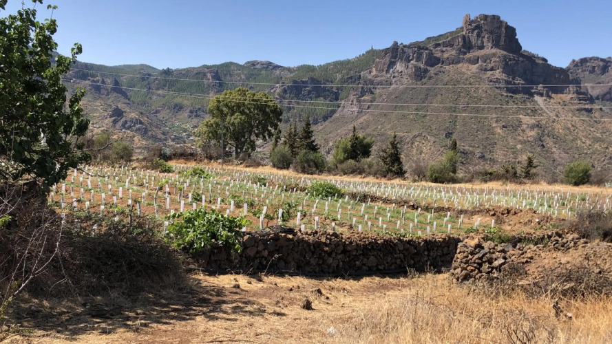 Tejeda Parque Rural el Nublo