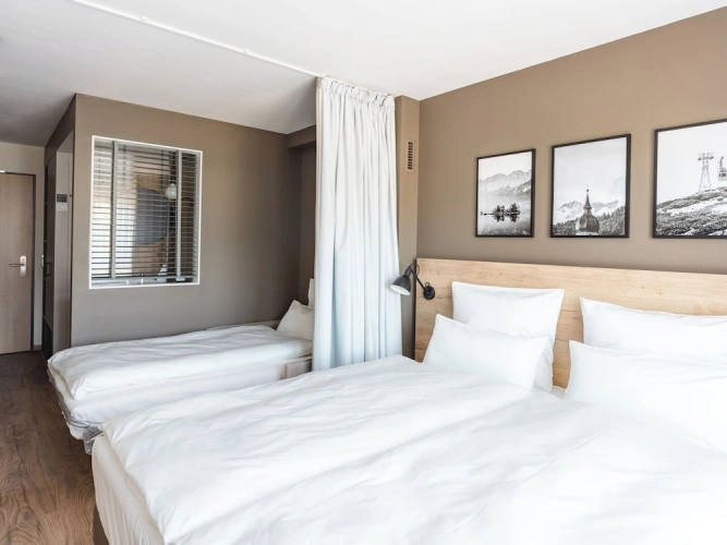 Standard Double room with mountain view