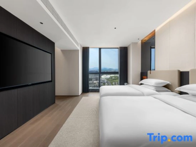 Twin Suite