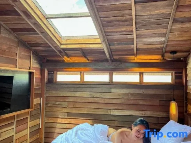 Standard Family Attic room