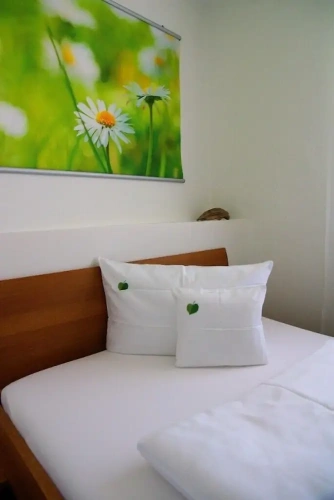 Standard Single room with balcony and with garden view