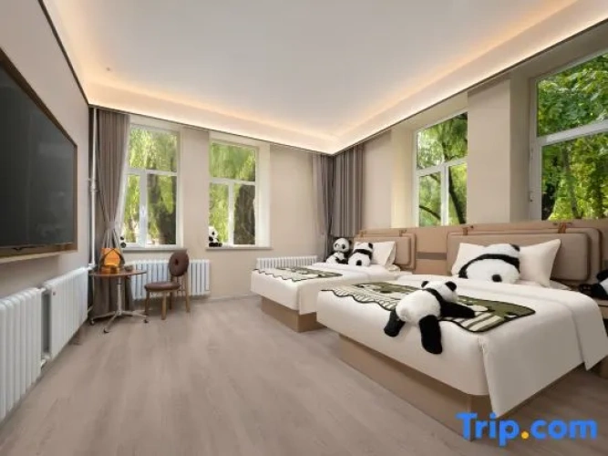 Standard Double Family room