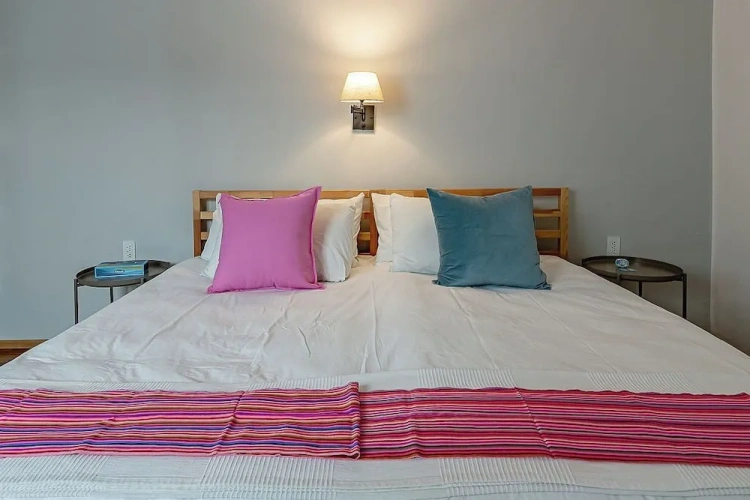 1 Bedroom Classic Apartment