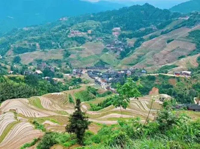 Longji Terrace Binlaiyue Homestay (Jinfoding Cable Car Dian)