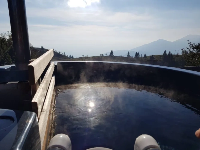 1 Bedroom Chalet with mountain view