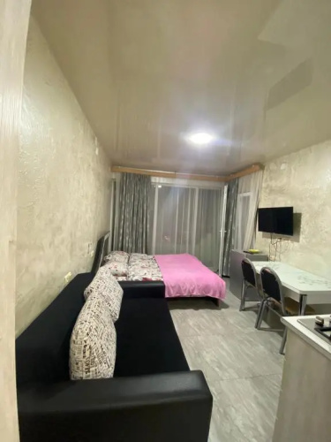 Apartment studio maksim