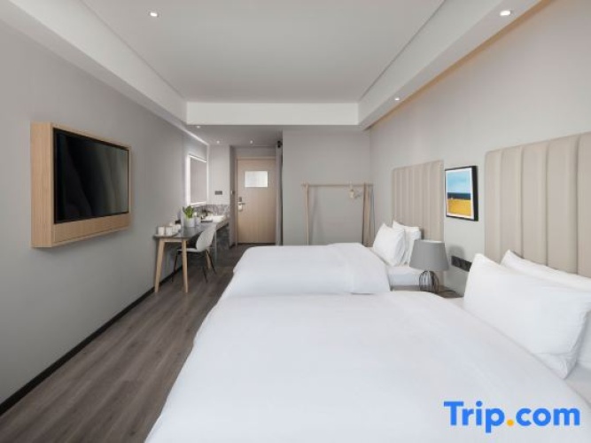 Standard Double room with city view