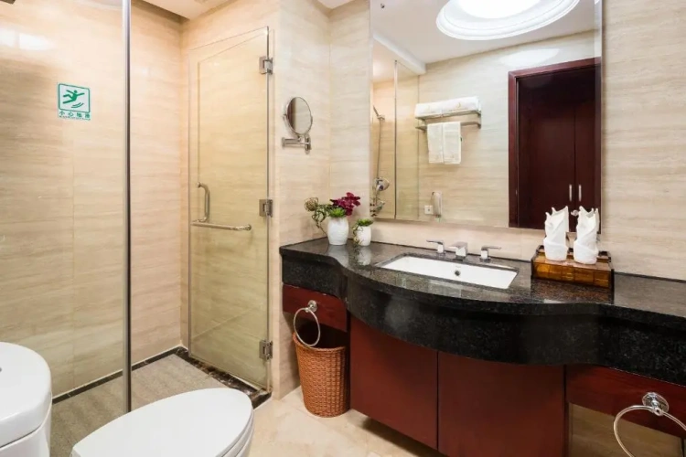 Standard Double room with city view