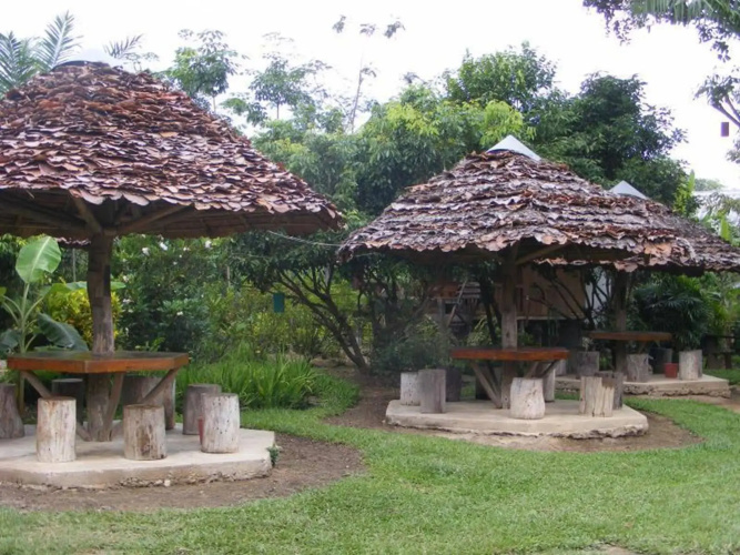 Banana House Pai