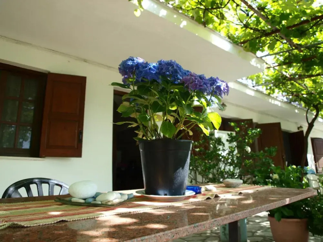 Paradeisos Studio With Garden View