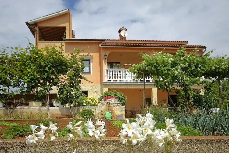 Apartments Alice Green Oasis -