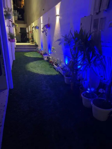 ايريس التل Iris Hill