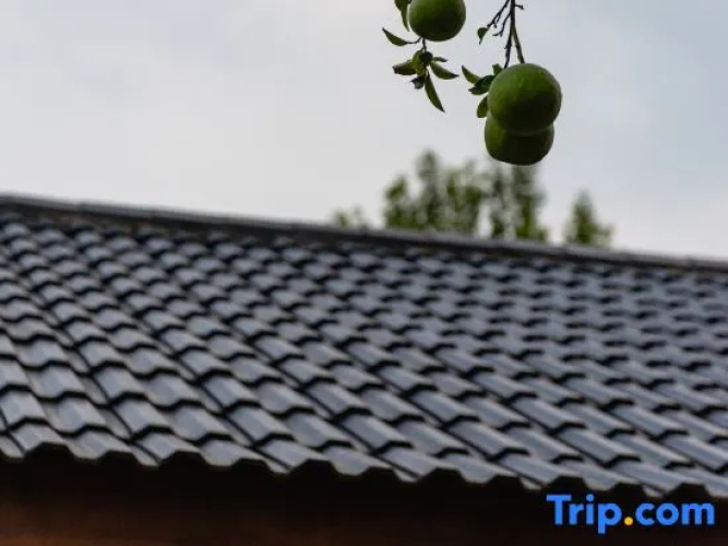 Yinxing Guli Hotel