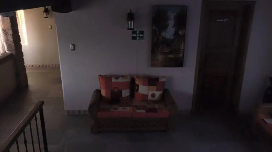Fridas Guanajuato