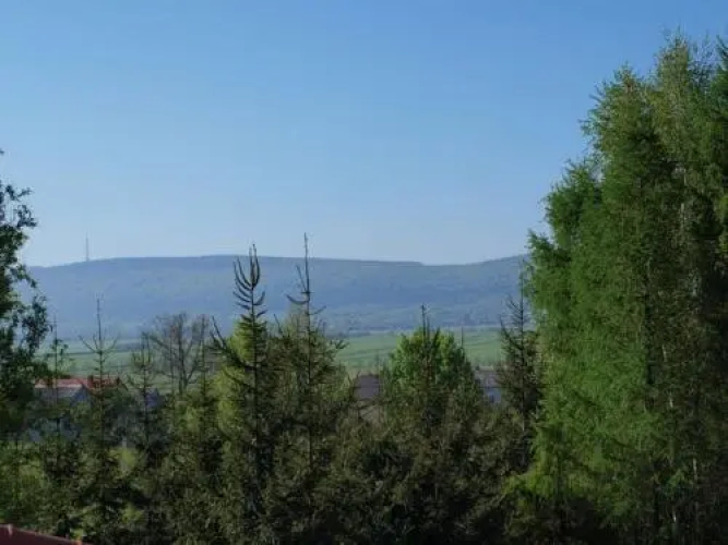 Świerkowe Wzgórze