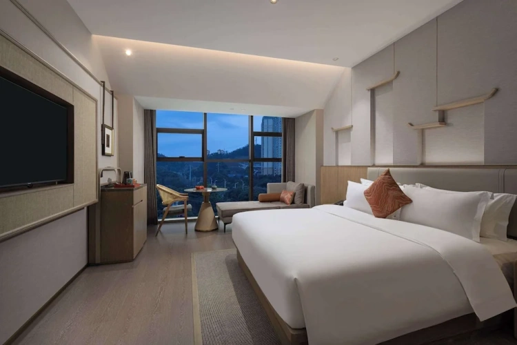Standard Double room with city view