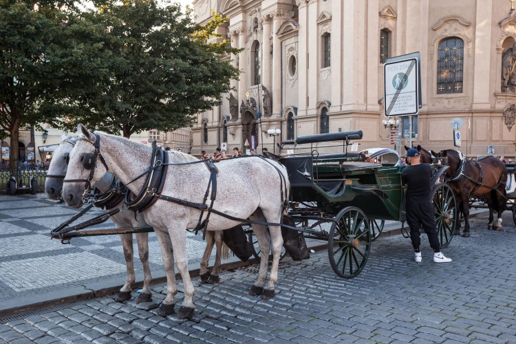 Gorgeous Prague RoomsOver view