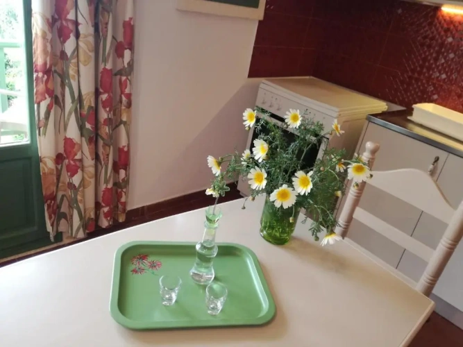 1 Bedroom Twin Apartment