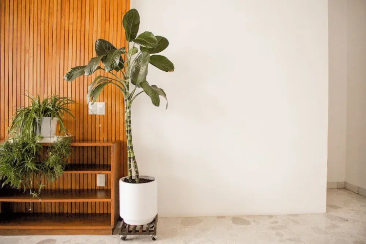 Violeta Hotel Boutique