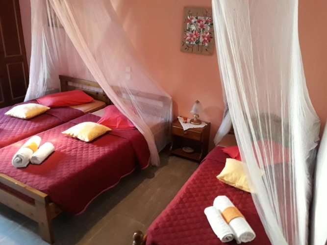 Standard Triple room with garden view