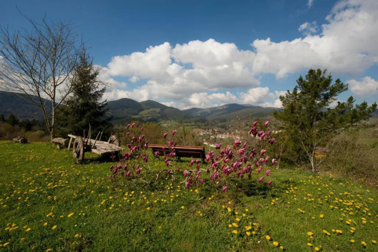 Apartamentos Turisticos Bizkar Bare