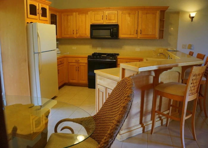Basement Suite