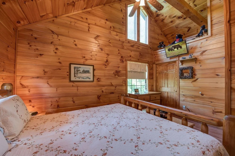 R Bearadise by Vtrips
