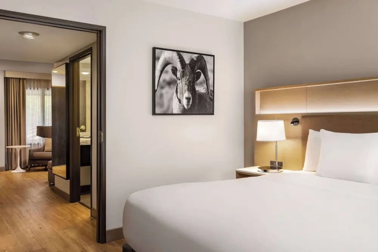 1 Bedroom Suite