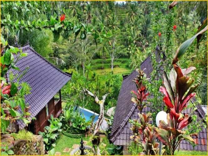 Double Bungalow with pool view