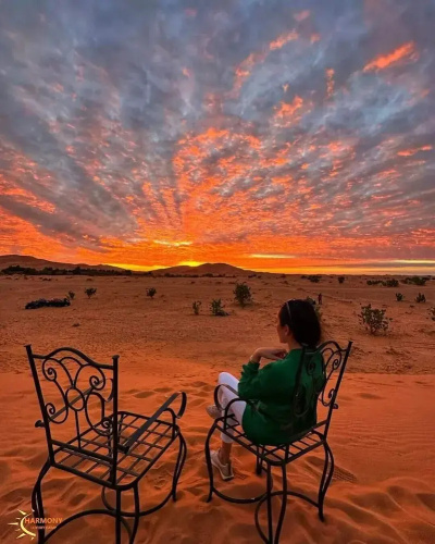 Harmony Desert Camp
