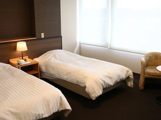Standard Twin room with ocean view