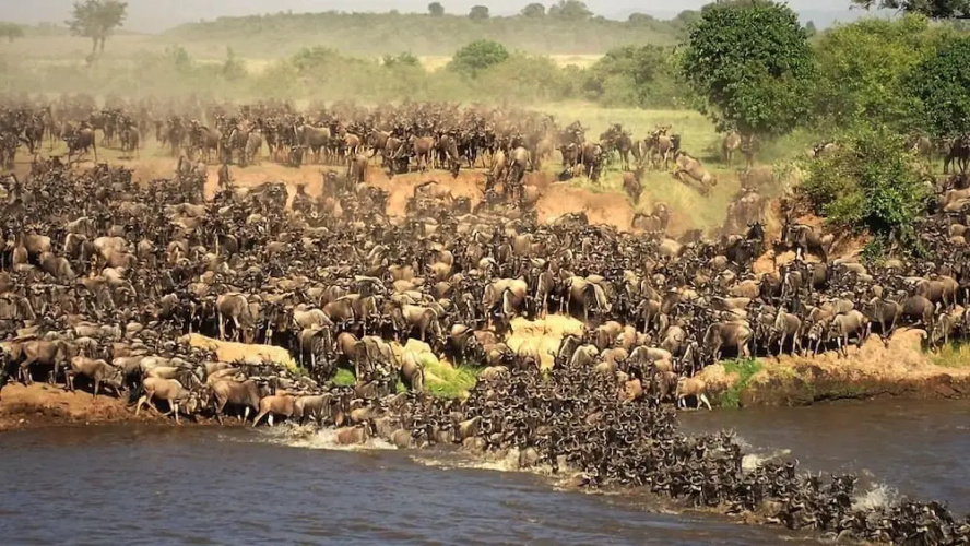 Mara Big Five Lodge
