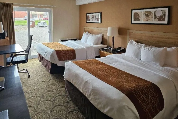 Standard Quadruple room