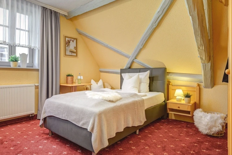 Standard Single room with city view