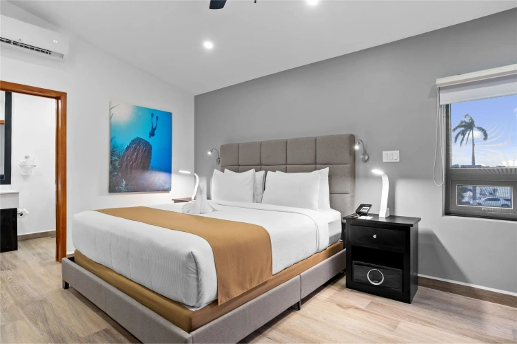 Premium Double room