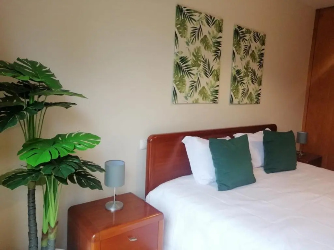 Lemon Tree Apartment