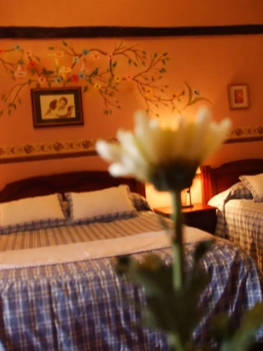 1 Bedroom Standard Double room