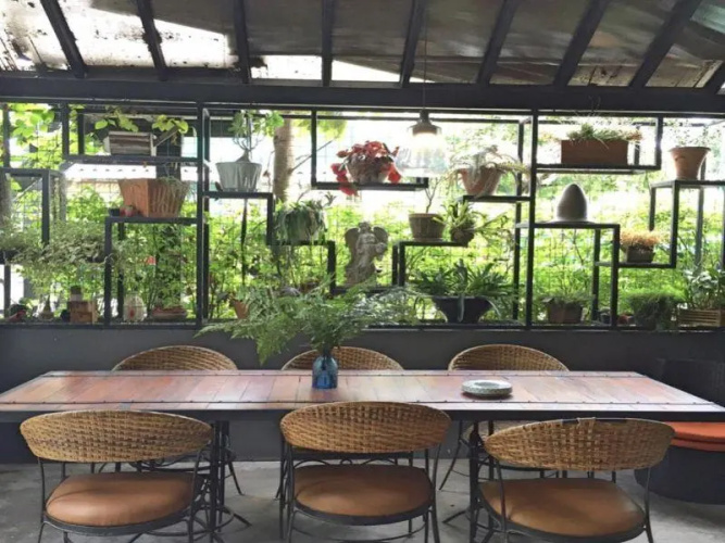 Row Hou8e Hostel